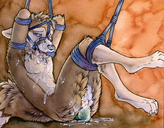 anal anal_penetration anthro ball_gag bdsm bodily_fluids bondage bound brown_body brown_fur cum cum_everywhere cum_on_chest cum_on_face dildo dildo_sitting excessive_cum excessive_genital_fluids fur gag gagged genital_fluids halter hands_behind_head harness harness_ball_gag harness_gag male messy muzzle_(object) muzzled nude penetration sex_toy solo submissive submissive_male suspension tail ruaidri canid canine fox mammal 2013
