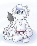 anthro clothing fluffy fur male multicolored_eyes smile solo underwear white_body white_fur young young_anthro ketsa darkinian felid feline hybrid jaguar mammal pantherine tiger absurd_res hi_res