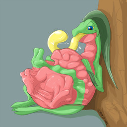abdominal_bulge bodily_fluids bulge drooling face_imprint feet feral foot_imprint grey_background hand_imprint imprint looking_at_viewer neck_bulge oral_vore plant restrained saliva simple_background sitting spread_legs spreading tongue tongue_out tree vore roco nintendo pokemon fan_character nonine generation_3_pokemon generation_6_pokemon greninja grovyle pokemon_(species) 1:1 2015 dated hi_res signature male_(lore)