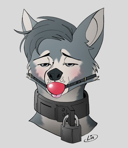 anthro ball_gag bdsm bondage bound collar fur gag gagged hair lock looking_at_viewer male metal_collar padlock padlocked_collar simple_background solo submissive submissive_male tongue tongue_out 100racs canid canine canis mammal wolf digital_media_(artwork) hi_res portrait