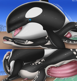 anal anal_orgasm animal_genitalia animal_penis anus beach black_body bodily_fluids cetacean_genitalia cetacean_penis cum cum_inflation cum_inside cum_while_penetrated duo ejaculation feral feral_on_feral genital_fluids genitals hands-free inflation lying male male/male male_penetrating on_front orgasm penetration penis sex spots tapering_penis white_body white_spots dolorcin aquatic cetacean dolphin mammal mosasaur oceanic_dolphin orca prehistoric_species reptile scalie toothed_whale 2025 hi_res