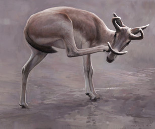 black_eyes brown_body brown_fur dewclaw_hooves feral fur hooves horn quadruped realistic realistic_feral short_fur short_tail solo tail tan_body tan_fur renum63 prehistoric_species syndyoceras 2018 6:5 artrage_(artwork) detailed digital_media_(artwork) digital_painting_(artwork) painting_(artwork)
