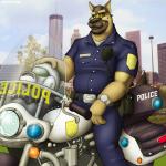 anthro armor badge biceps biped bottomwear city clothed clothing fully_clothed headgear headlights helmet looking_at_viewer male motor_vehicle motorcycle muscular muscular_anthro muscular_male pants police police_motorcycle police_vehicle shirt sitting solo topwear uniform vehicle zexyz canid canine canis domestic_dog german_shepherd herding_dog mammal pastoral_dog 1:1 2006 digital_media_(artwork)