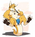 3_toes anthro big_bulge bulge claws clothed clothing feet male muscular muscular_anthro muscular_male pawpads smile solo toes topless underwear haps solaxe kangaroo macropod mammal marsupial absurd_res hi_res