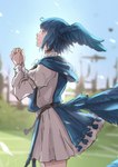 2023 absurd_res animal_humanoid avian avian_humanoid biped bird_humanoid blue_body blue_clothing blue_eyes blue_feathers blue_hair blue_robe blue_tail blue_tail_feathers clothed clothing digital_media_(artwork) feathers female final_fantasy final_fantasy_xiv grass hair head_wings hi_res humanoid kazuno mammal meteion_(final_fantasy_xiv) open_mouth plant praying_hands robe side_view signature sky solo square_enix sun tail tail_feathers white_clothing wings