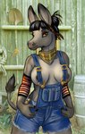 anthro areola black_hair breasts clothed clothing eyebrows eyelashes female hair nipples overalls overalls_only shortalls smile tail caribou_(artist) asinus donkey equid equine mammal 2023 digital_media_(artwork)