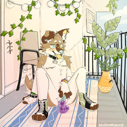 andromorph anthro balcony big_clitoris bodily_fluids clitoris clitoris_piercing clothing collar dildo exhibitionism footwear genital_fluids genital_piercing genitals hch_piercing huge_clitoris intersex mastectomy_scar outside piercing public scar sex_toy shoes sneakers solo vaginal_fluids vulva rroostersauce canid canine canis domestic_dog mammal 1:1 absurd_res hi_res