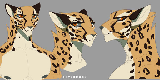 bared_teeth black_ears black_nipples black_nose cheetah_spots chin_tuft collarbone countershade_snout countershade_torso countershading ears_back ears_up facial_markings facial_tuft front_view fur grey_sclera head_markings inner_ear_fluff male markings neck_tuft nipples orange_eyes pecs pivoted_ears side_eye side_eye_at_viewer side_view simple_background snarling snout solo spots spotted_body spotted_fur spotted_markings tuft white_body white_fur yellow_body yellow_fur hiverdose mikhalko_(hiverdose) cheetah felid feline mammal digital_media_(artwork) headshot_portrait hi_res portrait