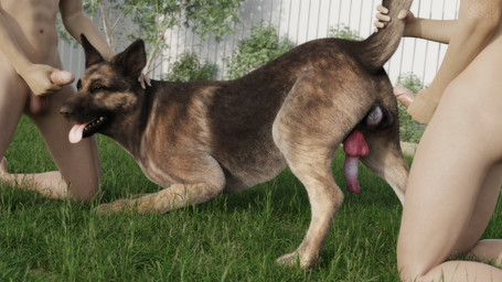 anatomically_correct anatomically_correct_genitalia anatomically_correct_penis animal_genitalia animal_penis anus ass_up bestiality brown_body brown_eyes brown_fur canine_genitalia canine_penis crouching faceless_character faceless_male fence feral fur genitals grass group hand_on_head holding_own_penis holding_penis human_on_feral interspecies kneeling looking_at_viewer male male/male male_on_feral multicolored_body multicolored_fur narrowed_eyes outside penis plant raised_tail realistic_feral seductive shrub tail tail_grab tongue tongue_out trio vein veiny_penis snow_kitsune fallout microsoft dogmeat canid canine canis domestic_dog german_shepherd herding_dog human mammal pastoral_dog 16:9 3d_(artwork) 4k absurd_res blender_(artwork) digital_media_(artwork) hi_res widescreen