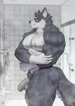 anthro areola balls barazoku bathing biceps big_balls big_muscles big_pecs big_penis blue_eyes deltoids flaccid foreskin fur genitals glans gloves_(marking) grey_body grey_fur huge_muscles humanoid_genitalia humanoid_penis inside kemono male manly markings muscular muscular_anthro muscular_male nipples nude pecs penis pubes shower showering side_view solo standing thick_arms thick_thighs triceps tuft water wet wet_body wet_fur white_body white_fur raccoon21 december_twilight nathan_black alaskan_malamute bear brown_bear canid canine canis domestic_dog grizzly_bear hybrid mammal nordic_sled_dog spitz ursine 2024 absurd_res hi_res