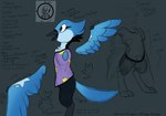 anthro beak birthmark black_body black_feathers blue_body bottomwear clothed clothing feathers female grey_eyes leggings legwear markings purple_clothing shirt smile solo standing star star_print t-shirt text topwear demon_ascended_(artist) bronny_jaybird_(demon_ascended) avian bird blue_jay corvid jay_(bird) new_world_jay oscine passerine colored digital_drawing_(artwork) digital_media_(artwork) hi_res model_sheet signature unfinished