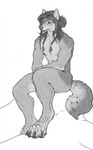 anthro braided_hair claws hair lips male scar sitting solo tail teeth silgiriya_mantsugosi grey_rivers canid canine canis mammal wolf absurd_res hi_res monochrome