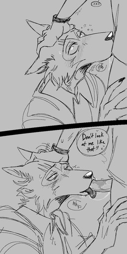 anthro blush blush_lines bodily_fluids claws clock dialogue fellatio head_grab leg_grab male male/male oral penile saliva saliva_string scar sex stare sweat sweatdrop thigh_grab tongue watch spicedpopsicle beastars legoshi_(beastars) canid canine canis mammal wolf hi_res sketch