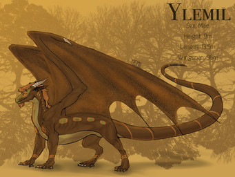 brown_body facial_hair feral goatee green_body green_scales male pattern_background scales simple_background solo tail text wings european_mythology mythology dragon mythological_creature mythological_scalie scalie western_dragon 4:3 english_text hi_res model_sheet