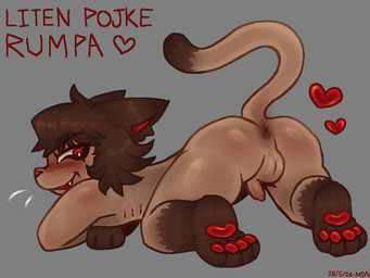 4_toes anthro anus ass_up blush blush_lines brown_body brown_fur brown_hair butt feet foreskin fur genitals hair heart_symbol hindpaw kneeling looking_at_viewer male nude nude_anthro nude_male pawpads paws penis rear_view red_eyes shota solo tail text toes young young_anthro young_male valtreatment domestic_cat felid feline felis mammal 2026 4:3 swedish_text translated
