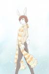 anthro clothed clothing male scarf snow solo walking winter 9x9 reelie lagomorph leporid mammal rabbit 2:3 hi_res