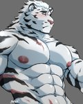 abs anthro blush eyebrows grey_background male male_anthro muscular muscular_anthro muscular_male navel nipples pecs simple_background solo stripes white_body nnknwnn_(artist) arknights hypergryph studio_montagne mountain_(arknights) felid mammal pantherine tiger 4:5 absurd_res hi_res