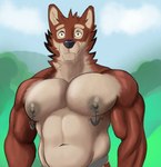 anthro brown_body brown_fur fur male muscular muscular_male nipple_piercing nipples pecs piercing solo spell_lhost_(artist) echo_(game) echo_(series) echo_project leo_alvarez canid canine canis mammal wolf hi_res