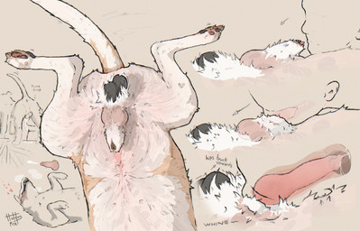 all_fours ambiguous_gender ambiguous_penetrated anatomically_correct anatomically_correct_genitalia animal_genitalia animal_penis anus balls becoming_erect becoming_erect_in_mouth becoming_erect_while_penetrating bestiality bird's-eye_view black_sheath_slit bodily_fluids breath butt canine_genitalia canine_penis close-up closed_sheath_slit crotch_tuft cum cum_drip cum_in_mouth cum_inside deep_throat dripping duo erection featureless_face fellatio feral feral_penetrating feral_penetrating_human fully_sheathed fur genital_fluids genitals half-erect heart_symbol high-angle_view human_on_feral human_penetrated inaccurate_knotting internal internal_oral interspecies knot knot_swelling knotted_penis knotting leaking_precum lipsticking looking_pleasured lying male male/ambiguous male_penetrating male_penetrating_ambiguous motion_lines nipples on_back open_mouth oral oral_knotting oral_penetration orange_body orange_fur penetration penile penile_penetration penis precum precum_squirt precum_string realistic_knotting sex shaking sheath sheath_slit simple_background standing tail tail_motion tailwag tongue tongue_out toony trembling tuft whining white_body white_fur x-ray_view hotdogmeat american_staffordshire_terrier canid canine canis domestic_dog human hunting_dog mammal terrier 2025 digital_media_(artwork) hi_res