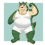 anthro belly big_belly black_nose blush green_body humanoid_hands kemono male one_eye_closed overweight overweight_male solo wink wrestling_singlet yaki_atsuage lifewonders live_a_hero mokdai canid canine canis domestic_dog mammal 1:1 2024 hi_res