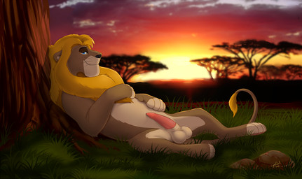 animal_genitalia balls brown_body brown_fur detailed_background erection feral fur genitals looking_at_viewer lying male on_back outside penis sheath smile solo sunset tapering_penis wood reallynxgirl felid lion mammal pantherine