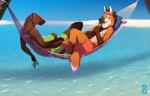 anthro beach brown_body cloud countershading day detailed_background duo ear_piercing fur hair hammock male male/male nipples orange_body outside paws piercing sand seaside seductive sky smile ocho sawolf151 drewzy sam_(sawolf151) canid canine gulonine mammal maned_wolf marten mustelid musteline pine_marten 2014