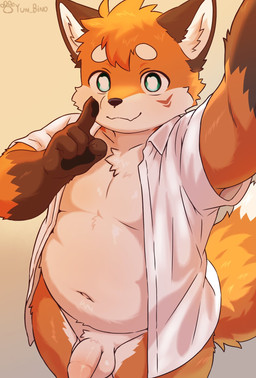 anthro balls clothed clothing genitals male open_clothing open_shirt open_topwear penis selfie shirt slightly_chubby smile solo tail topwear white_clothing white_shirt white_topwear young yun_bino yuki_(yun_bino) canid canine fox mammal hi_res