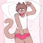 anthro blush clothing collar crop_top dolphin_shorts femboy heart_symbol male masturbation piercing shirt solo tank_top topwear pochowek skala domestic_cat felid feline felis mammal 1:1