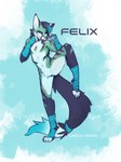 anthro balancing dyed_fur fight fist highlights_(coloring) male solo wrappings wraps cacuu felix_tivener canid canine fox mammal absurd_res hi_res