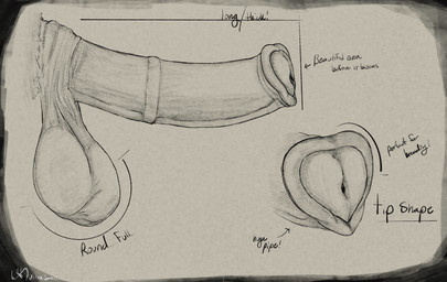 animal_genitalia animal_penis balls big_balls big_penis equine_genitalia equine_penis flared_penis genitals heart_shaped_flare huge_balls huge_penis male penis sheath urethra zero_pictured lofinebulae hasbro my_little_pony equid equine horse mammal pony absurd_res hi_res sketch
