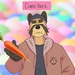 anthro beanie black_beanie black_clothing black_ears black_hair black_hand black_hat black_headwear black_shirt black_topwear blush carrot clothing collar dialogue eyebrows eyes_always_closed eyes_closed food frown fur furgonomic_headwear furgonomics hair hat headgear headwear jacket logo_on_clothing male plant shirt solo standing stubble talking_to_viewer tan_body tan_fur text thick_eyebrows topwear vegetable p_rindustries chuck_(p_rindustries) p_rindustries_(p_rindustries) canid canine mammal raccoon_dog tanuki 1:1 hi_res