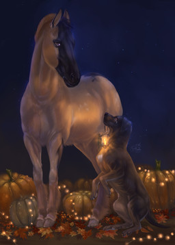 ambiguous_gender autumn duo female feral food fruit holidays lamp lantern light male male/female plant pumpkin almatea halloween canid canine canis domestic_dog equid equine horse mammal absurd_res hi_res