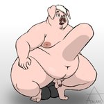 abdominal_bulge anal anal_masturbation anal_penetration anthro balls belly big_belly big_breasts breasts crouching erection facial_hair genitals hair huge_hips huge_thighs humanoid_hands hyper hyper_sex_toy male male_penetrated masturbation moobs nipples nude obese obese_anthro obese_male open_mouth overweight overweight_anthro overweight_male penetration penis pink_body pink_skin sex sex_toy simple_background thick_thighs white_hair wide_hips arkaneanarchist_(artist) domestic_pig mammal suid suina sus_(pig) 2024 absurd_res colored digital_drawing_(artwork) digital_media_(artwork) hi_res