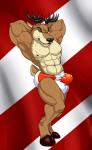 abs anthro antlers biceps big_bulge big_muscles biped black_nose blue_eyes brown_body brown_fur bulge canada canadian_flag clothed clothing fur hooves horn looking_at_viewer male muscular muscular_anthro muscular_male nipples pecs pose smile solo standing topless underwear white_body white_fur conditional_dnp hungothenomster deer mammal new_world_deer reindeer 2015 hi_res