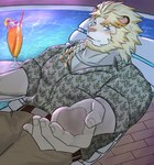 aloha_shirt anthro blonde_hair blue_eyes blush braided_hair clothing fur hair male pattern_clothing pattern_shirt pattern_topwear pawpads shirt solo swimming_pool topwear white_body white_fur 77sirogane77 lifewonders live_a_hero astosis felid lion mammal pantherine hi_res