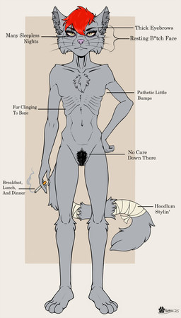 anthro bandage bandaged_tail chest_tuft cigarette cigarette_smoke female front_view fur hair holding_cigarette holding_object looking_at_viewer mouth_closed navel nude pubes red_hair resting_bitch_face ribs skinny skinny_anthro skinny_female smoke solo standing tail text tuft whiskers marcushunter cinder_marshall domestic_cat felid feline felis mammal 2025 english_text hi_res signature