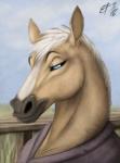 anthro blue_eyes clothed clothing eyebrows eyelashes female half-closed_eyes mane narrowed_eyes smile solo lizet amy_haythorne equid mammal 2018 reaction_image signature