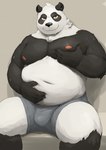 anthro belly black_body black_nose bulge clothing kemono male moobs navel nipples overweight overweight_male sitting solo underwear white_body barontoko bear giant_panda mammal 2022 hi_res