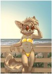 anthro beach bikini bikini_bottom bikini_top border brown_eyes bulge clothed clothing crossdressing detailed_bulge eyewear femboy fur grey_body grey_fur looking_at_viewer male midriff navel outside seaside shota smile smiling_at_viewer solo sunglasses swimwear two-piece_swimsuit white_border young young_anthro harmarist golden_week sheath_and_knife alex_(harmarist) canid canine canis mammal wolf 2023 hi_res