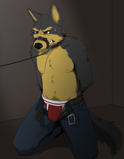 anthro bdsm belt biped black_body black_fur black_nose bodily_fluids bottomwear briefs brown_body brown_eyes brown_fur bulge clenched_teeth clothed clothing collar denim denim_bottomwear denim_clothing eyebrows fur hands_behind_back jeans kneeling leash male multicolored_body multicolored_fur muzzle_(object) muzzled navel open_bottomwear open_clothing open_pants pants partially_clothed red_clothing red_underwear solo sweat teeth topless two_tone_body two_tone_fur underwear lobotalow canid canine canis mammal wolf