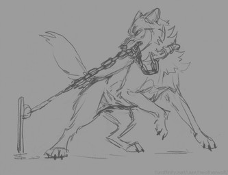 ambiguous_feral ambiguous_gender bared_teeth bound chain chained cheek_tuft claws ears_back facial_tuft fangs feral neck_tuft pivoted_ears simple_background solo tail teeth tuft heatherwolf canid canine canis mammal wolf monochrome sketch