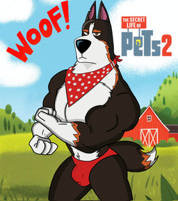 anthro biceps biped black_body black_fur brown_eyes bulge clothing detailed_bulge dipstick_tail flexing flexing_bicep fur male male_anthro markings multicolored_body muscular muscular_anthro muscular_male pecs red_clothing red_thong red_underwear solo tail tail_markings text thong underwear white_body white_fur white_tail_tip ivan_the_artist illumination_entertainment the_secret_life_of_pets rooster_(the_secret_life_of_pets) canid canine canis domestic_dog mammal english_text hi_res