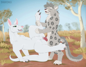 anthro anthro_on_anthro anthro_penetrated anthro_penetrating anthro_penetrating_anthro arm_support balls balls_deep bodily_fluids bridge_position crab_walk cum cum_from_vagina cum_in_vagina cum_inside cum_on_self cum_string duo extended_arm extended_arms eyes_closed feet female female_anthro female_penetrated feral from_front_position genital_fluids genitals leaking_cum leg_grab looking_pleasured male male/female male_anthro male_penetrating male_penetrating_female messy nature nature_background orgasm outside outside_sex penetration penile penile_penetration penis penis_in_vagina sex side_view sound_effects spread_legs spreading standing tail teeth tongue vaginal vaginal_fluids vaginal_penetration vulva digitoxici digi felid kangaroo macropod mammal marsupial pantherine snow_leopard animated short_playtime sound webm