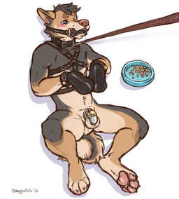 anthro balls bdsm biped black_body black_fur blue_eyes blush bodily_fluids bondage bondage_gear bondage_gloves bone_gag bound bowl brown_body brown_fur chastity_cage chastity_device claws clothing collar container cum drooling feet fur gag gagged genital_fluids genitals hair handwear harness hindpaw leash lock lying male on_back padlock pawpads paws pet_bowl pink_nose precum saliva simple_background solid_chastity_cage solo spread_legs spreading submissive submissive_male text wearing_chastity_cage wearing_chastity_device white_background chewycuticle takun canid canine canis domestic_dog mammal 2015 digital_media_(artwork) hi_res