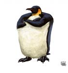 beak black_body black_eyes black_paws crossed_arms feral simple_background solo white_background white_body yellow_body matataku avian bird emperor_penguin penguin 2019 full-length_portrait portrait