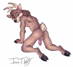 antlers backsack balls genitals half-erect hooves horn humanoid_genitalia humanoid_penis looking_at_viewer looking_back male nude penis presenting simple_background solo white_background jessie_t_wolf deer mammal