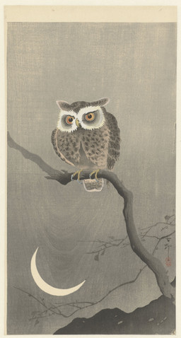 ambiguous_feral ambiguous_gender avian_feet beak biped bipedal_feral branch brown_body brown_feathers cjk_character crescent_moon dead_tree feathered_wings feathers feet feral moon on_branch orange_sclera plant scuted_feet scutes simple_background solo standing tail tail_feathers talons toes tree wings ohara_koson public_domain avian bird owl strix_(genus) tawny_owl true_owl 20th_century absurd_res ancient_art hi_res traditional_media_(artwork)