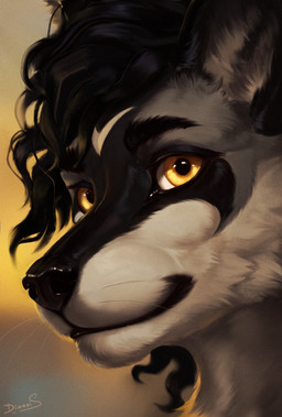 anthro black_body black_fur black_hair black_nose fur hair looking_at_viewer male multicolored_body multicolored_fur simple_background smile solo white_body white_fur yellow_eyes dimonis canid canine fox mammal digital_drawing_(artwork) digital_media_(artwork) hi_res portrait