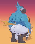 anthro back_muscles backsack balls beak big_balls big_butt big_muscles butt crouching feathers feet genitals gradient_background huge_balls looking_at_viewer looking_back looking_back_at_viewer male muscular muscular_anthro muscular_male nipples non-mammal_balls non-mammal_nipples nude orange_background pecs red_background saggy_balls shadow simple_background smile solo talons thick_thighs toes triceps tuft redeyedgazer breath_of_the_wild broly_culo nintendo the_legend_of_zelda kass_(tloz) avian bird rito 2023 hi_res meme