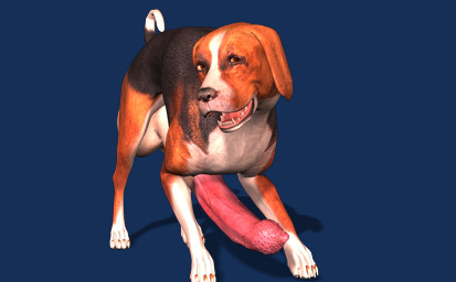 animal_genitalia animal_penis balls big_penis erection feline_genitalia feline_penis feral fur genitals huge_penis hyper hyper_genitalia hyper_penis looking_at_viewer male nude penis realistic_feral solo tapiko beagle canid canine canis domestic_dog hunting_dog mammal scent_hound 3d_(artwork) alpha_channel digital_media_(artwork)